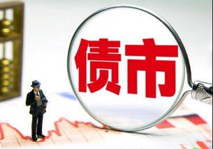 债券增强型产品投资管理报告