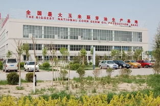 西山食品 国内首个食用油塑包产品智慧工厂顺利启用