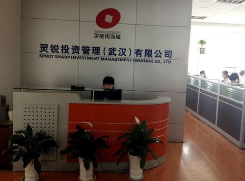 灵锐投资管理 武汉 