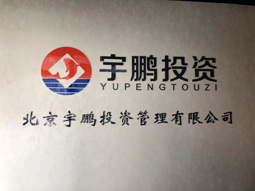 北京宇鹏投资管理